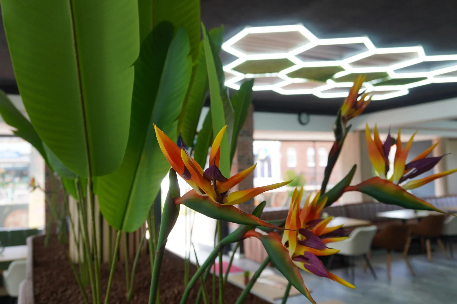 Feature Image